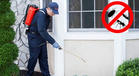Tarsus Kemirgen İlaçlama böcek ilaçlama ve haşere kontrolü — ilaclama-tr.com